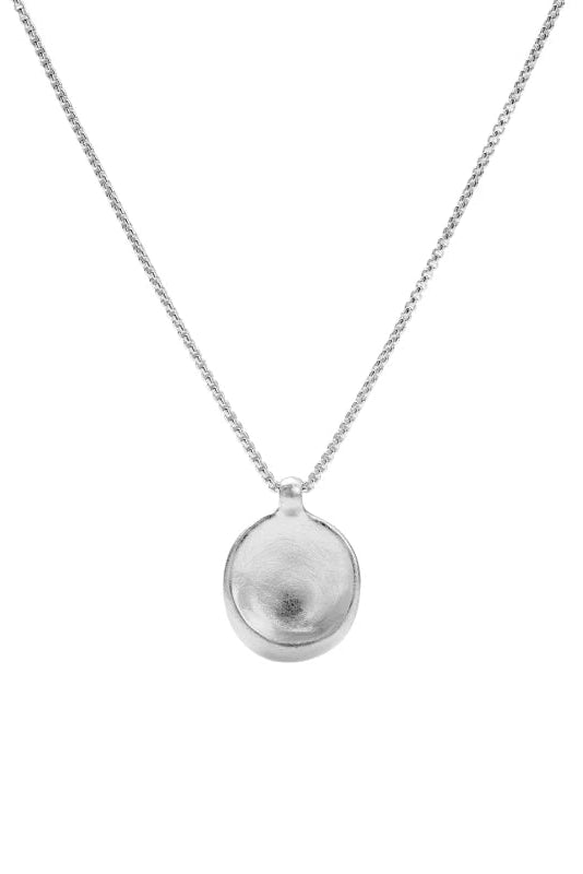 Brushed Pendant Necklace B5052