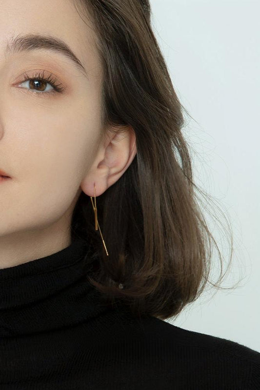 S925 Elegant Long Tassel Earrings B3254