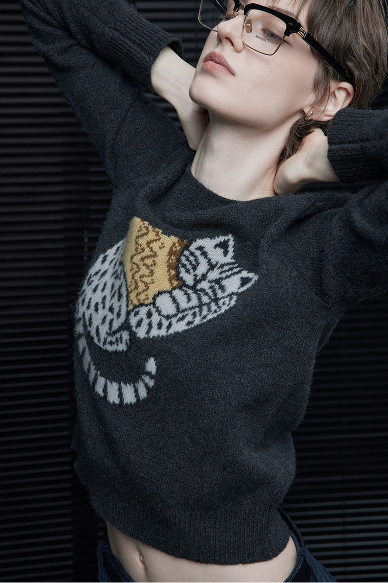 Gray wool cat print sweater B4371