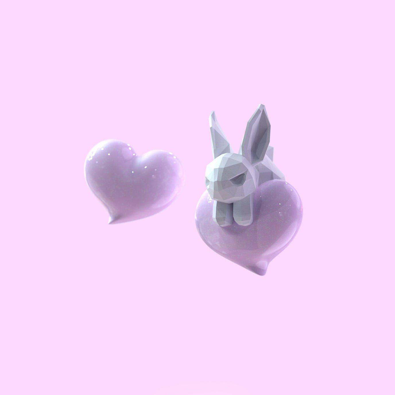 I love rabbit earrings B1699